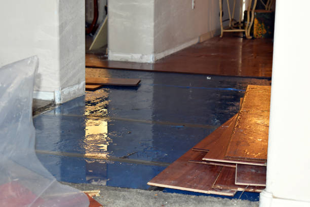 Professional Flood Damage Restoration technician working in Long Lake, IL